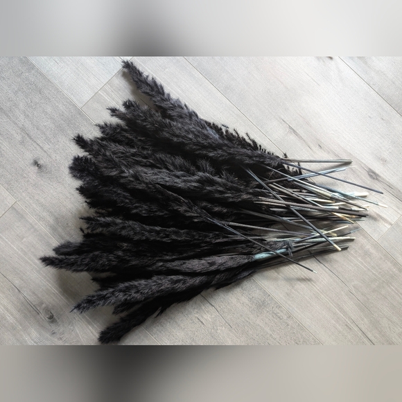 Pampas Grass Feathers BLACK 40pcs Bundle - Picture 2 of 3